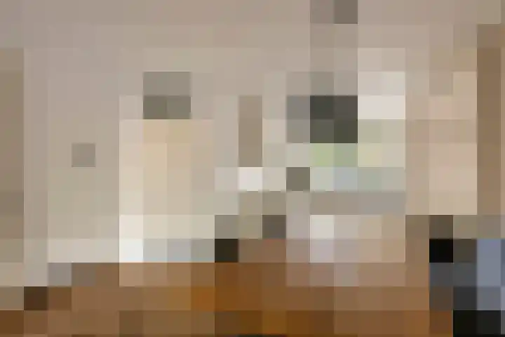 Duifkruid 109 Tiel thumbnail 10