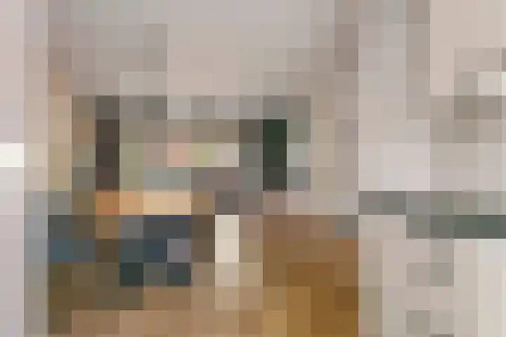 Duifkruid 109 Tiel thumbnail 11