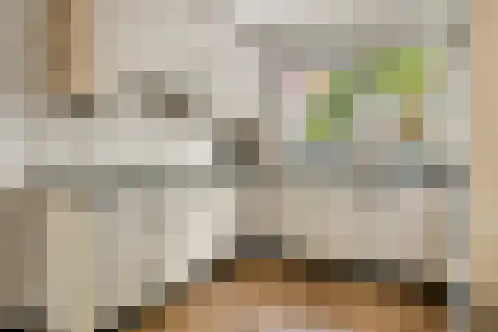 Duifkruid 109 Tiel thumbnail 12