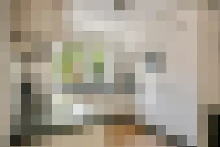 Duifkruid 109 Tiel thumbnail 13