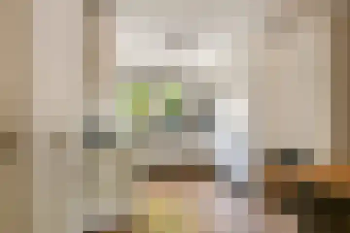 Duifkruid 109 Tiel thumbnail 14