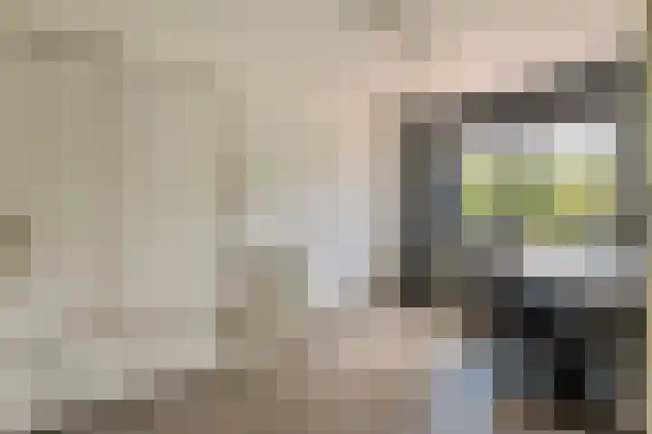 Duifkruid 109 Tiel thumbnail 18