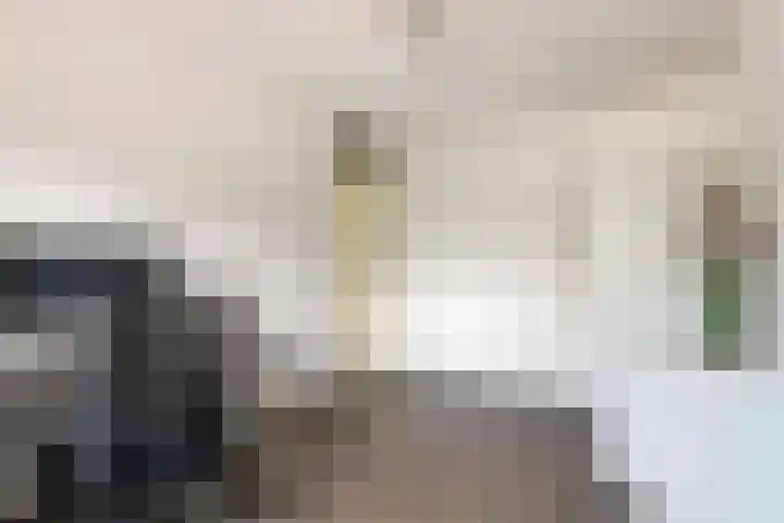 Duifkruid 109 Tiel thumbnail 19