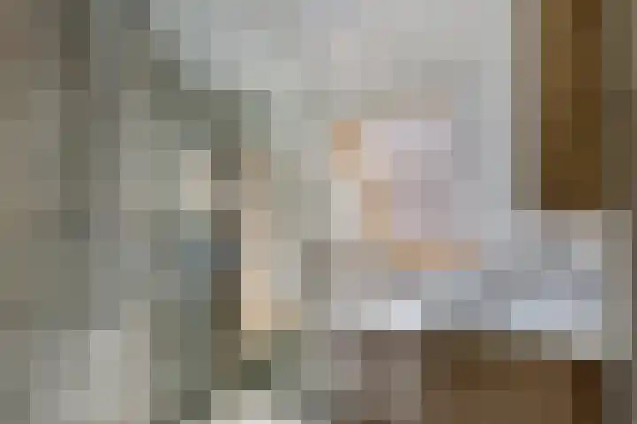 Duifkruid 109 Tiel thumbnail 21