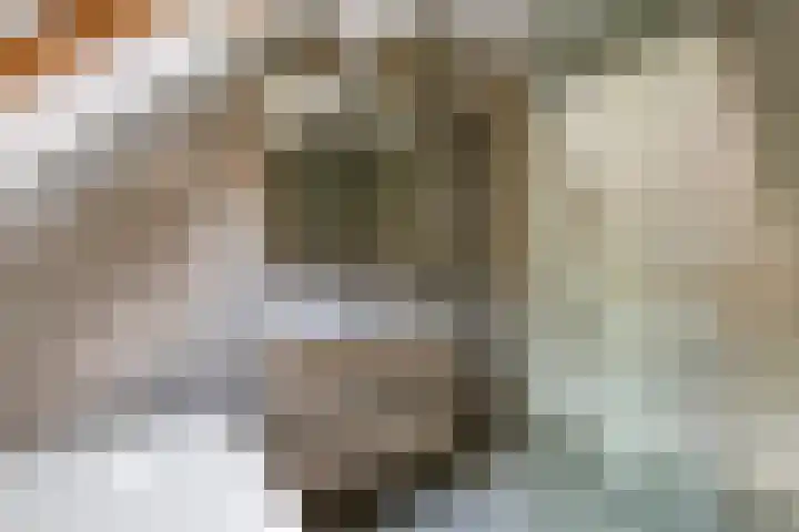 Duifkruid 109 Tiel thumbnail 23