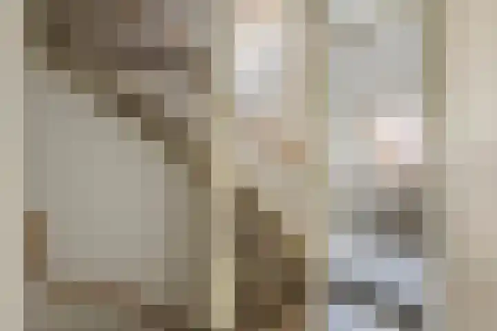 Duifkruid 109 Tiel thumbnail 24