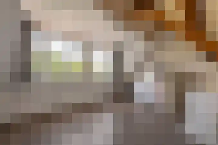 Duifkruid 109 Tiel thumbnail 25