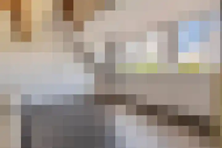 Duifkruid 109 Tiel thumbnail 26