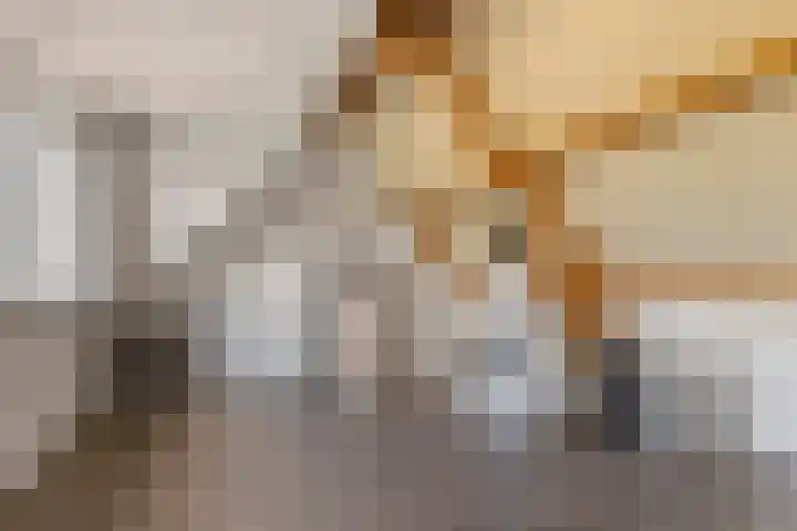 Duifkruid 109 Tiel thumbnail 27
