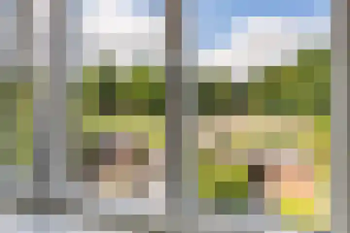 Duifkruid 109 Tiel thumbnail 28