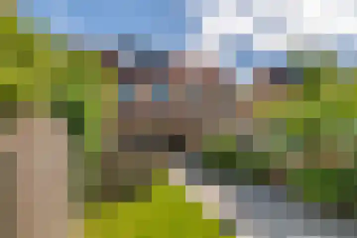 Duifkruid 109 Tiel thumbnail 29