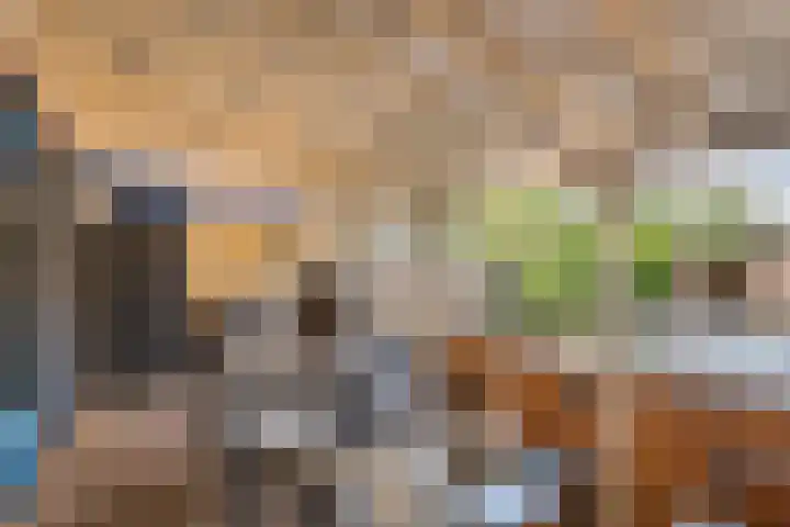 Duifkruid 109 Tiel thumbnail 30