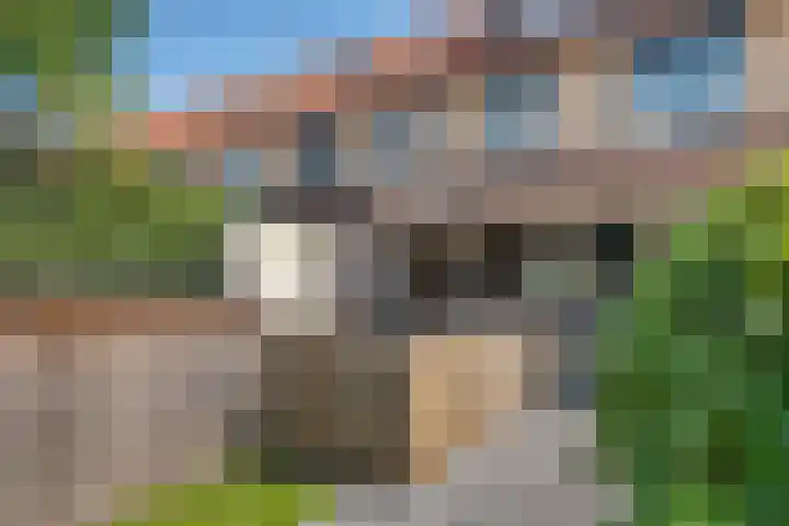 Duifkruid 109 Tiel thumbnail 32