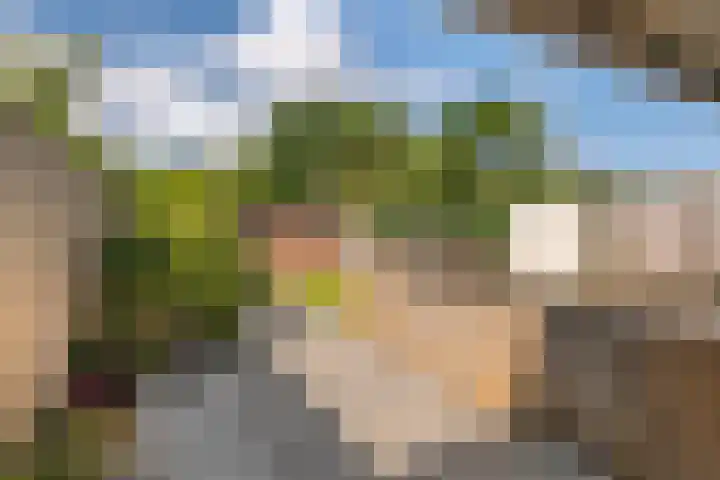 Duifkruid 109 Tiel thumbnail 33