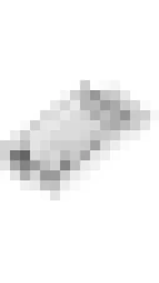 Duifkruid 109 Tiel thumbnail 36