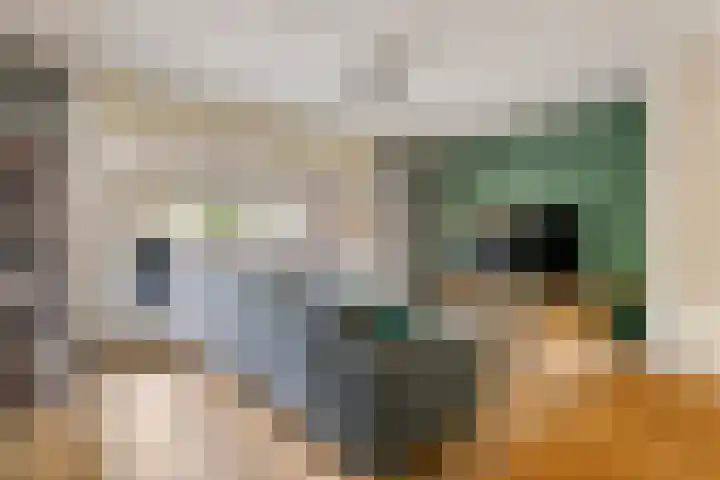 Duifkruid 109 Tiel thumbnail 5