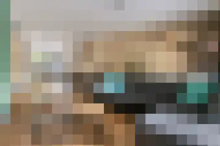 Duifkruid 109 Tiel thumbnail 6