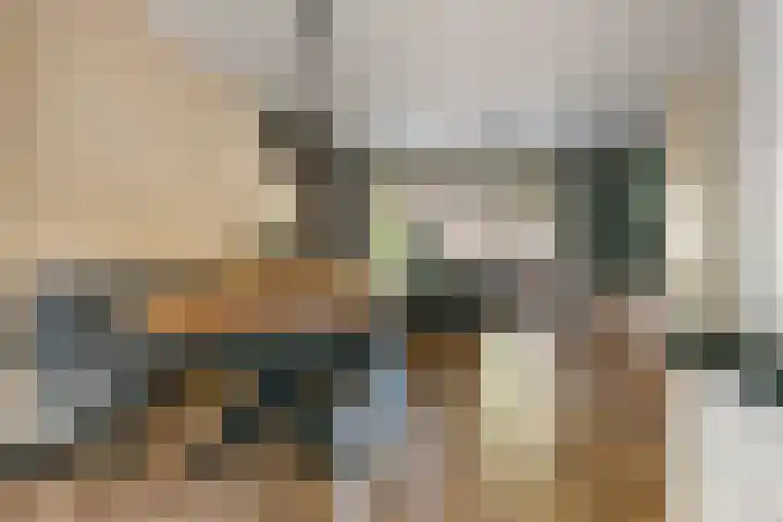 Duifkruid 109 Tiel thumbnail 7