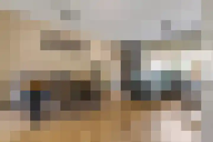 Duifkruid 109 Tiel thumbnail 8