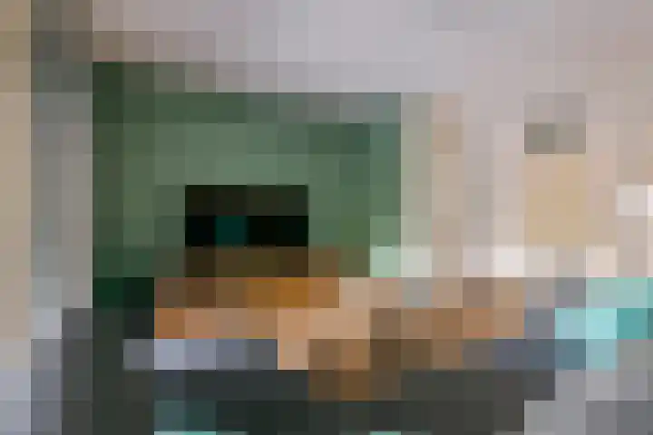 Duifkruid 109 Tiel thumbnail 9
