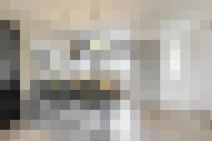 Duifkruid 119 Tiel thumbnail 10