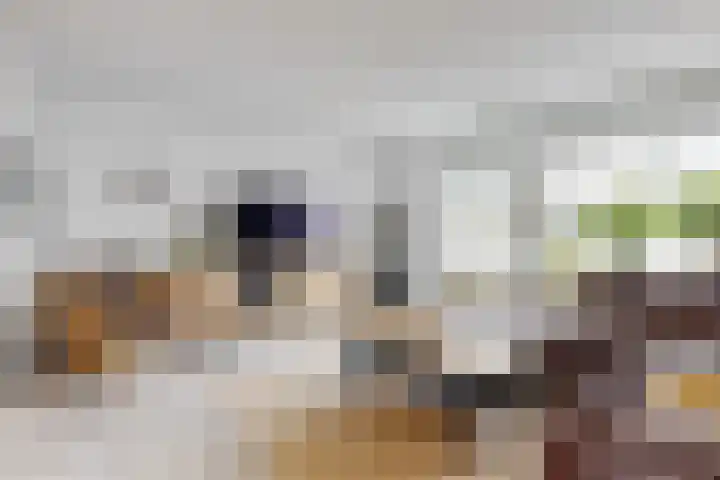 Duifkruid 119 Tiel thumbnail 12