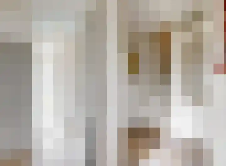 Duifkruid 119 Tiel thumbnail 13