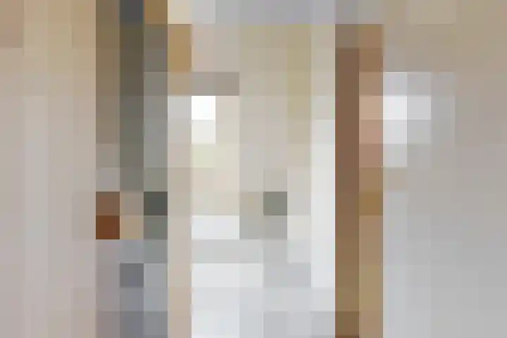 Duifkruid 119 Tiel thumbnail 14