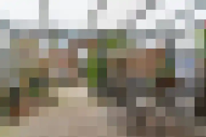 Duifkruid 119 Tiel thumbnail 23