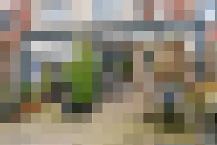 Duifkruid 119 Tiel thumbnail 24