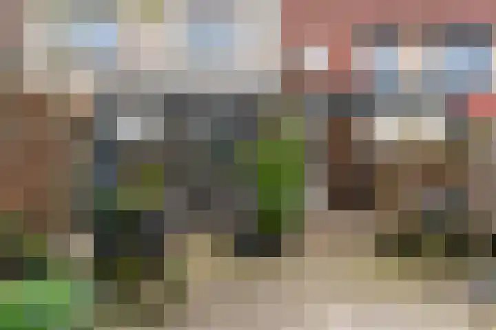Duifkruid 119 Tiel thumbnail 25
