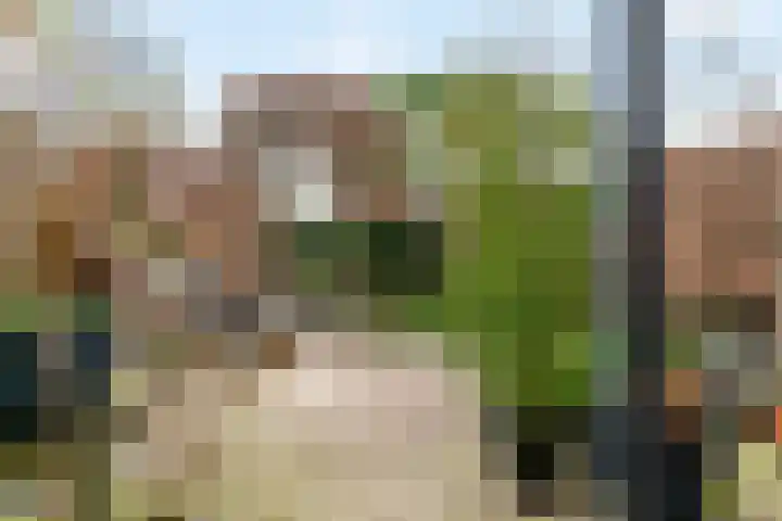 Duifkruid 119 Tiel thumbnail 26