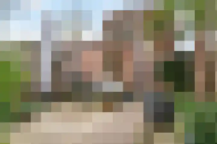 Duifkruid 119 Tiel thumbnail 27
