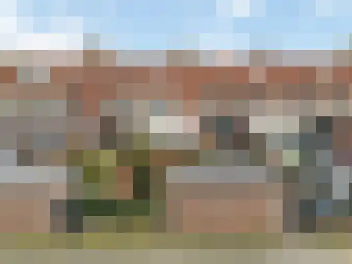 Duifkruid 119 Tiel thumbnail 29