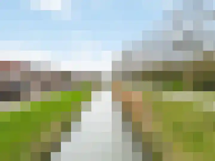 Duifkruid 119 Tiel thumbnail 30