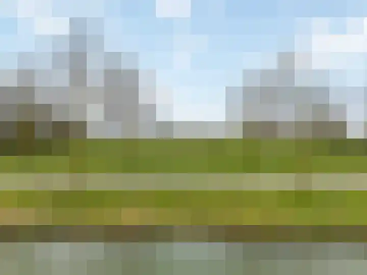 Duifkruid 119 Tiel thumbnail 31