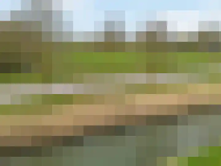 Duifkruid 119 Tiel thumbnail 32