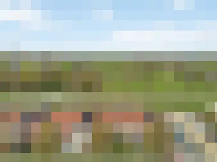 Duifkruid 119 Tiel thumbnail 33