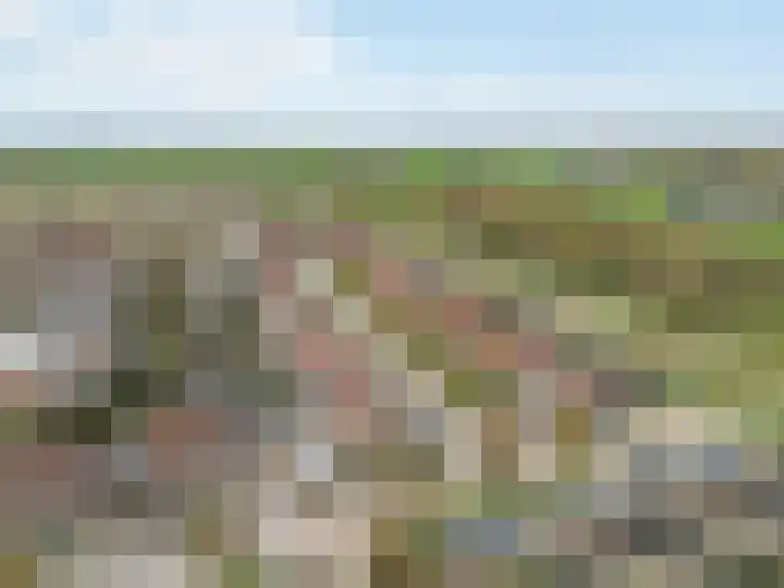 Duifkruid 119 Tiel thumbnail 34
