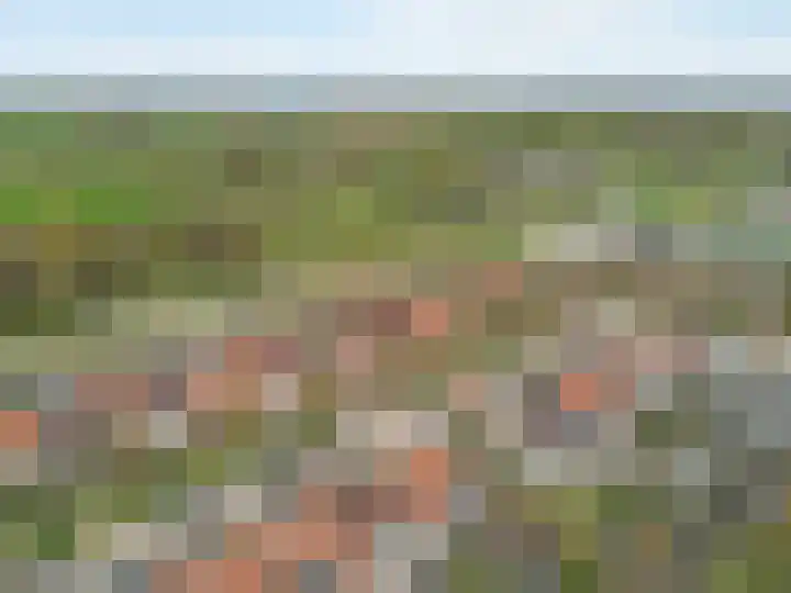 Duifkruid 119 Tiel thumbnail 35