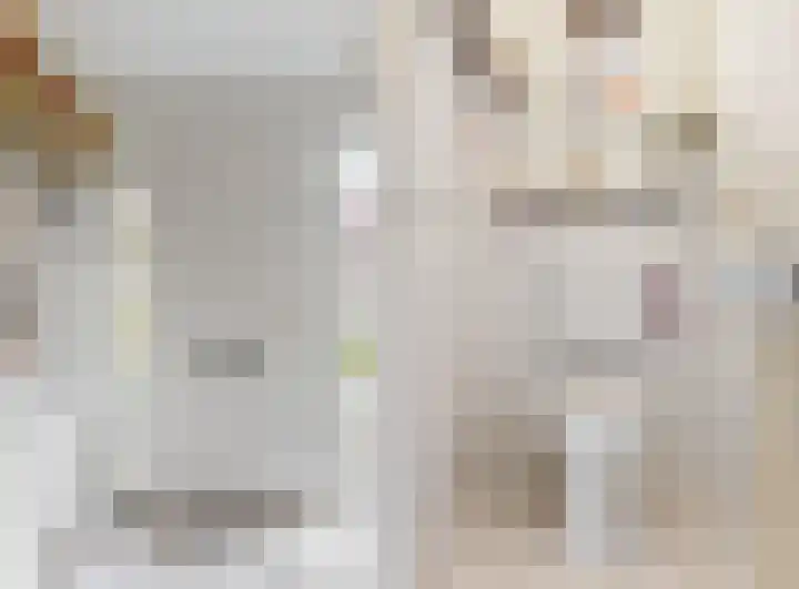 Duifkruid 119 Tiel thumbnail 5