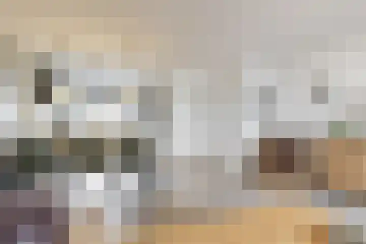 Duifkruid 119 Tiel thumbnail 7