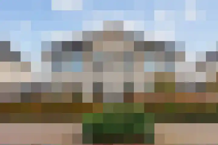 Duifkruid 16 Boxmeer thumbnail 28