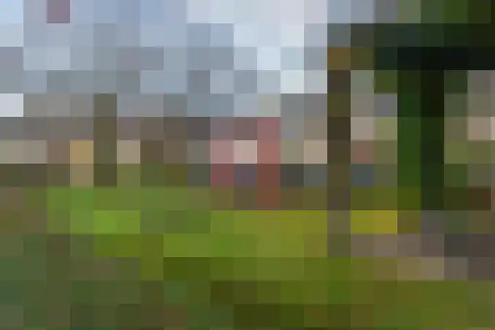 Duifkruid 16 Boxmeer thumbnail 30