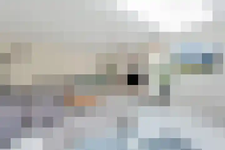 Duifkruid 17 Amersfoort thumbnail 17