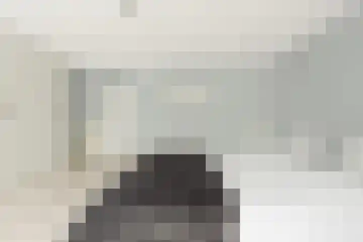 Duifkruid 17 Amersfoort thumbnail 20