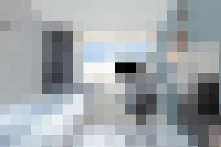Duifkruid 17 Amersfoort thumbnail 32