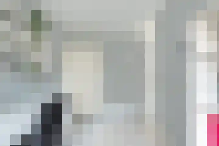 Duifkruid 17 Amersfoort thumbnail 33