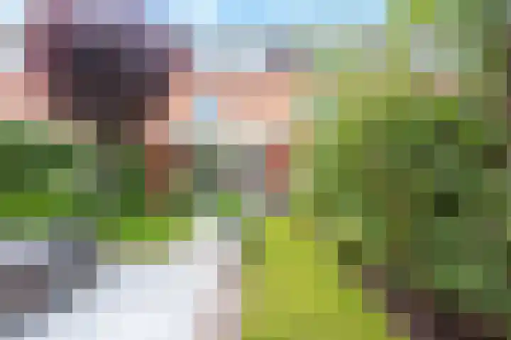 Duifkruid 17 Amersfoort thumbnail 37