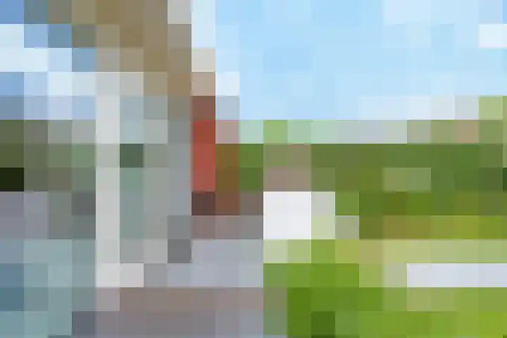 Duifkruid 17 Amersfoort thumbnail 39
